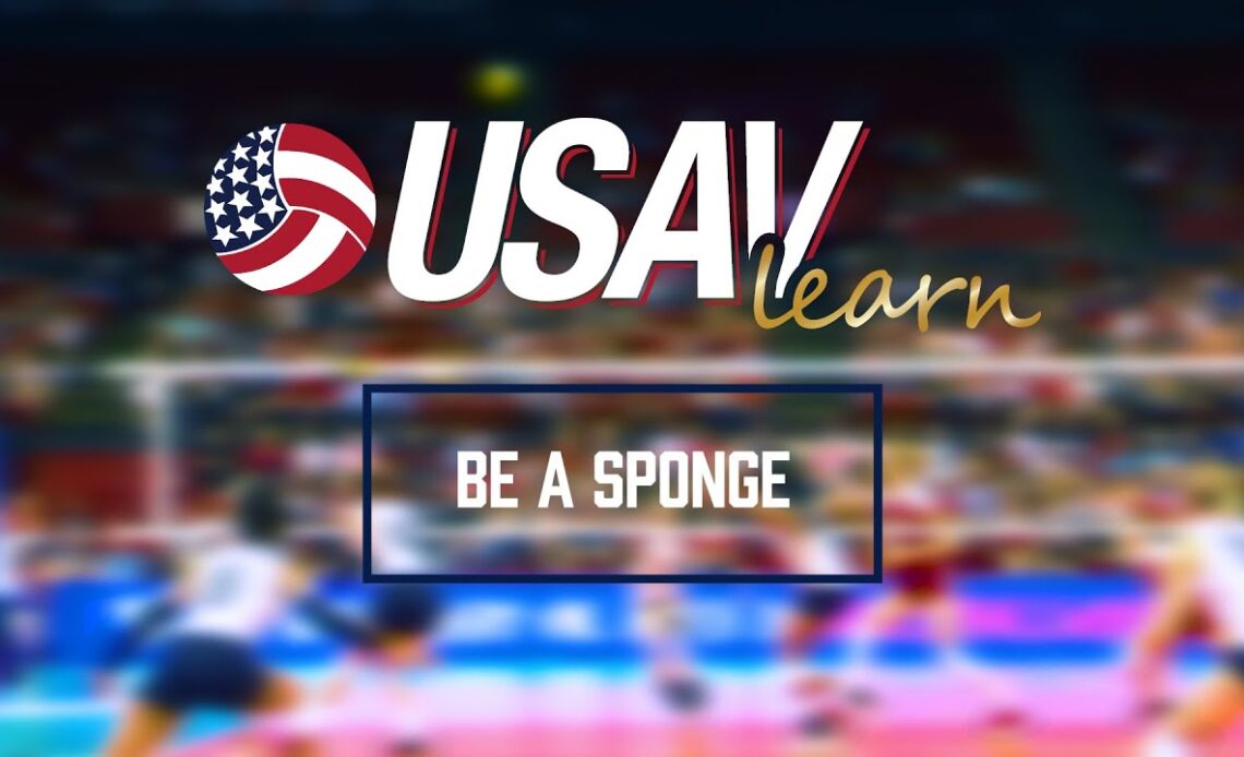 Rachael Adams | Be a Sponge | USAVlearn