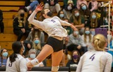 Women's Volleyball Concludes Season with Pair of NE10 Setbacks