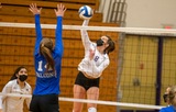 Women's Volleyball Defeated by Defending NE10 Champion Bentley