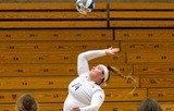 Women's Volleyball Loses NE10 Road Decision at Assumption