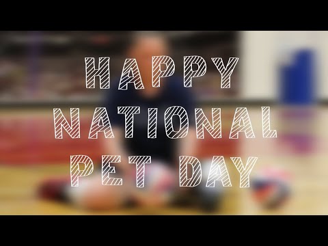 Monique Burkland | National Pet Day