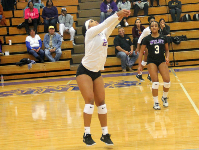 Merritt Elder (2) led the Wildcats with 19 digs against USW.