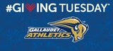Support Gallaudet Athletics on Giving Tuesday, donate towards the team of your choice