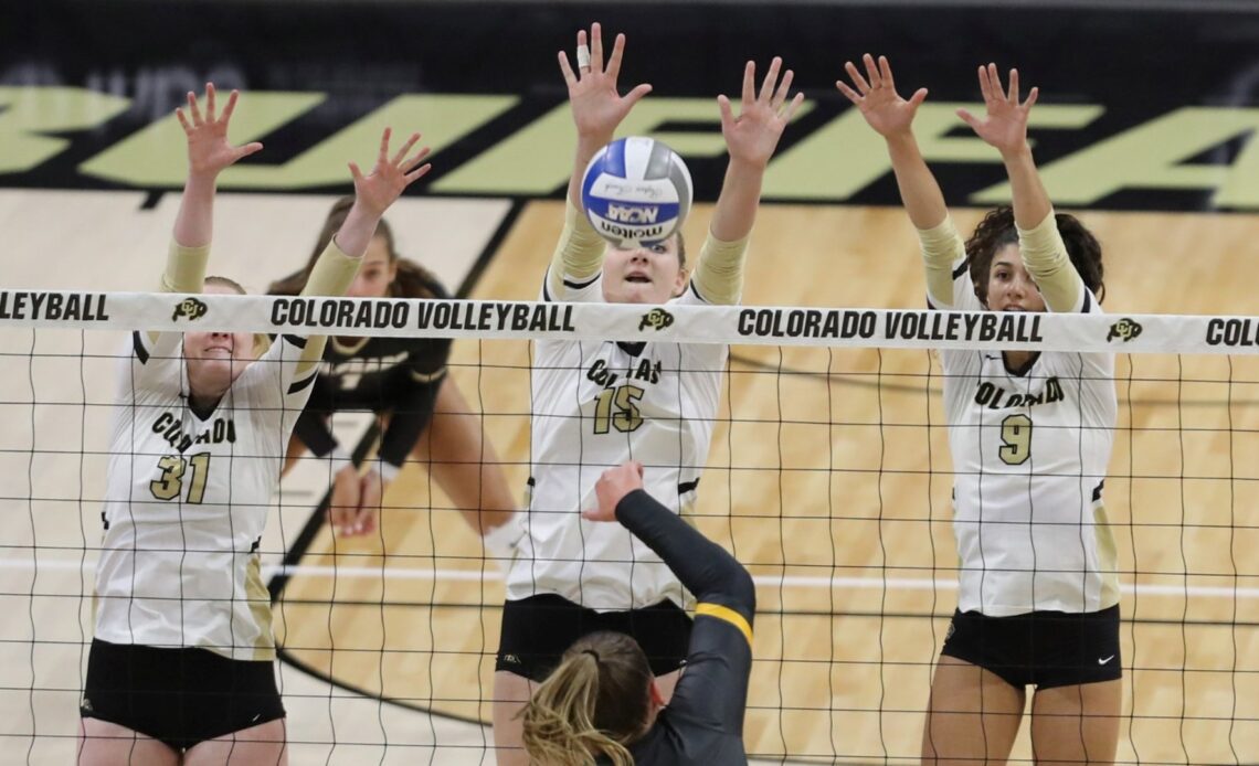 Buffaloes Prepped For Battle For The Golden Spike