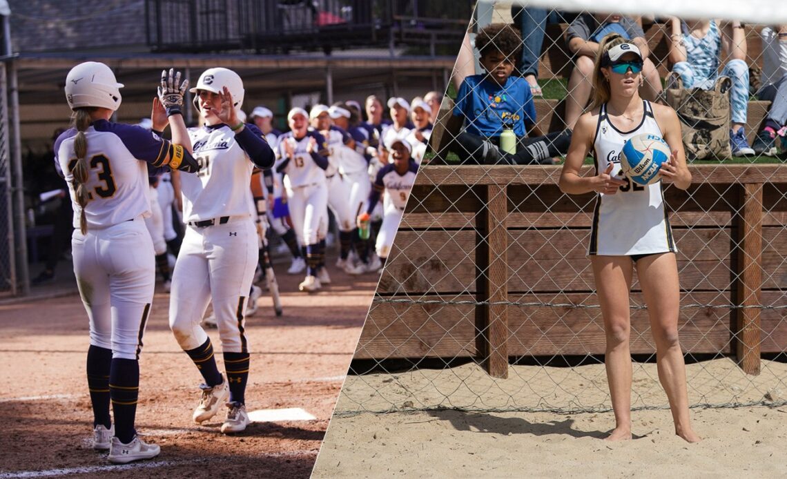 Cal Athletics raises $8 million for women's teams