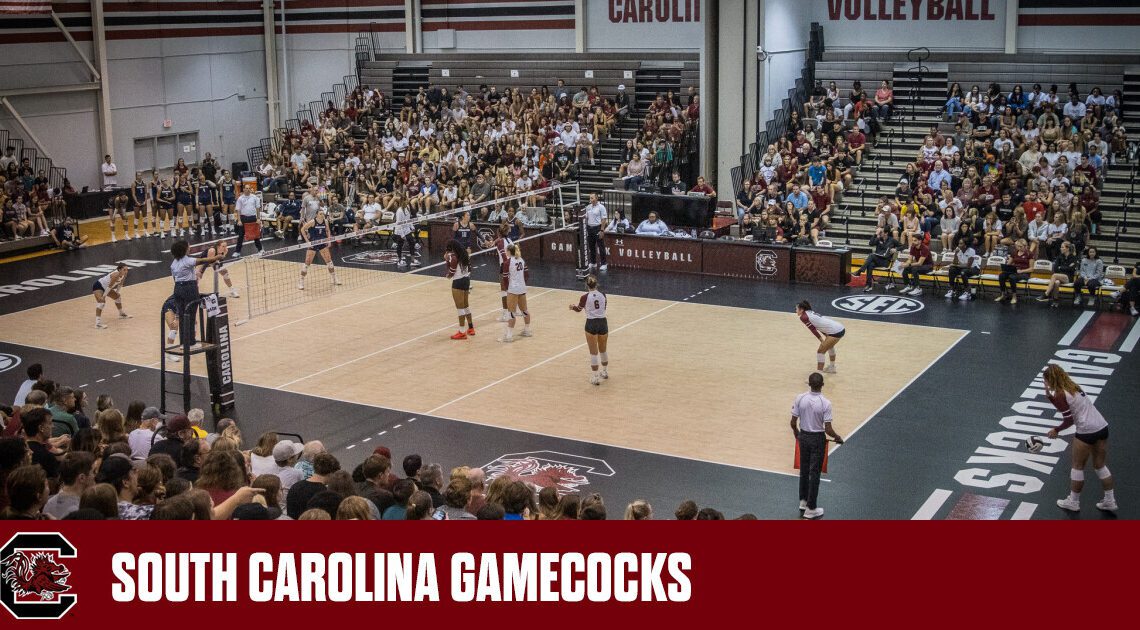 Gamecock Volleyball Opens Fall Season With Two-Day Home Tournament – University of South Carolina Athletics