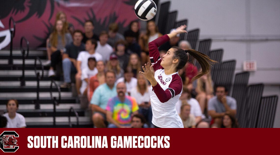 Gamecocks Sweep Bearcats in Weekend Finale – University of South Carolina Athletics