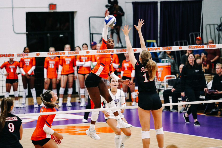Tigers Fall to JSU in Jervey Gym – Clemson Tigers Official Athletics Site