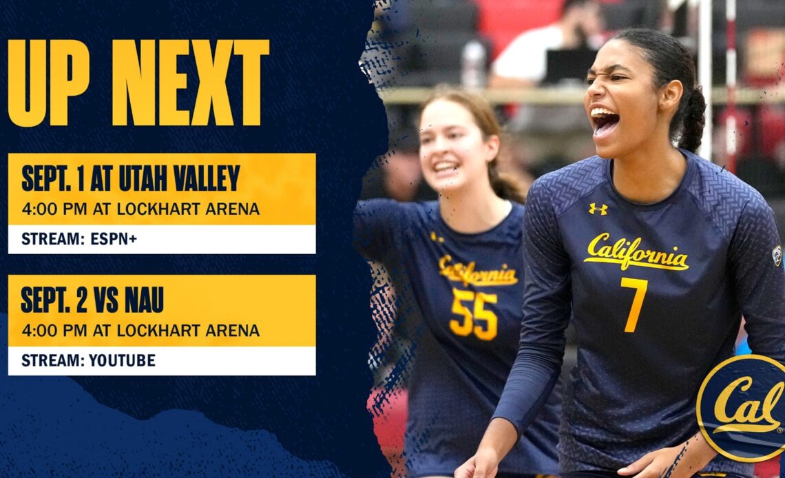 Top-Blocking Bears Travel To Utah Valley Tournament