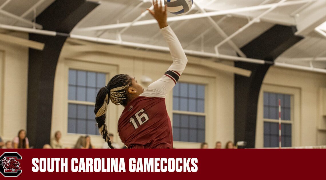 Volleyball Caps Road Swing With Tuesday Night Match at Clemson – University of South Carolina Athletics