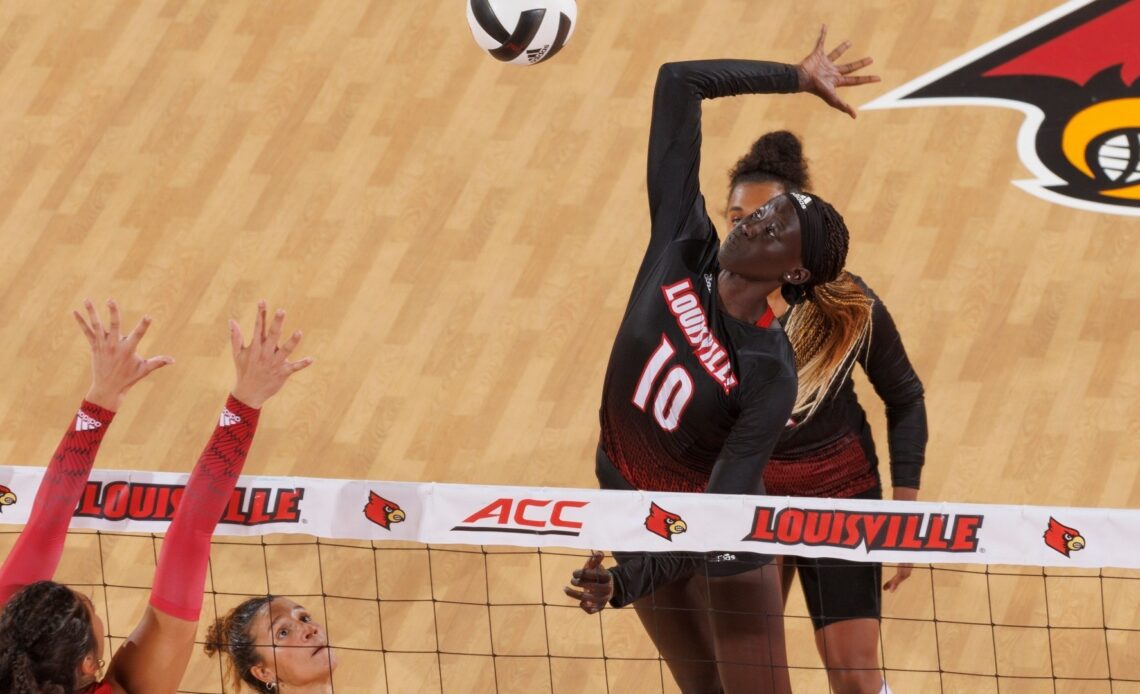 Volleyball Rises to No. 3 Ranking in AVCA Poll