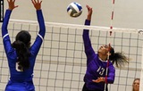 Women's Volleyball Defeated by Division I Stonehill, Former NE10 Mate