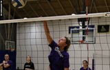 Women's Volleyball Downed in Five Sets by Plymouth State