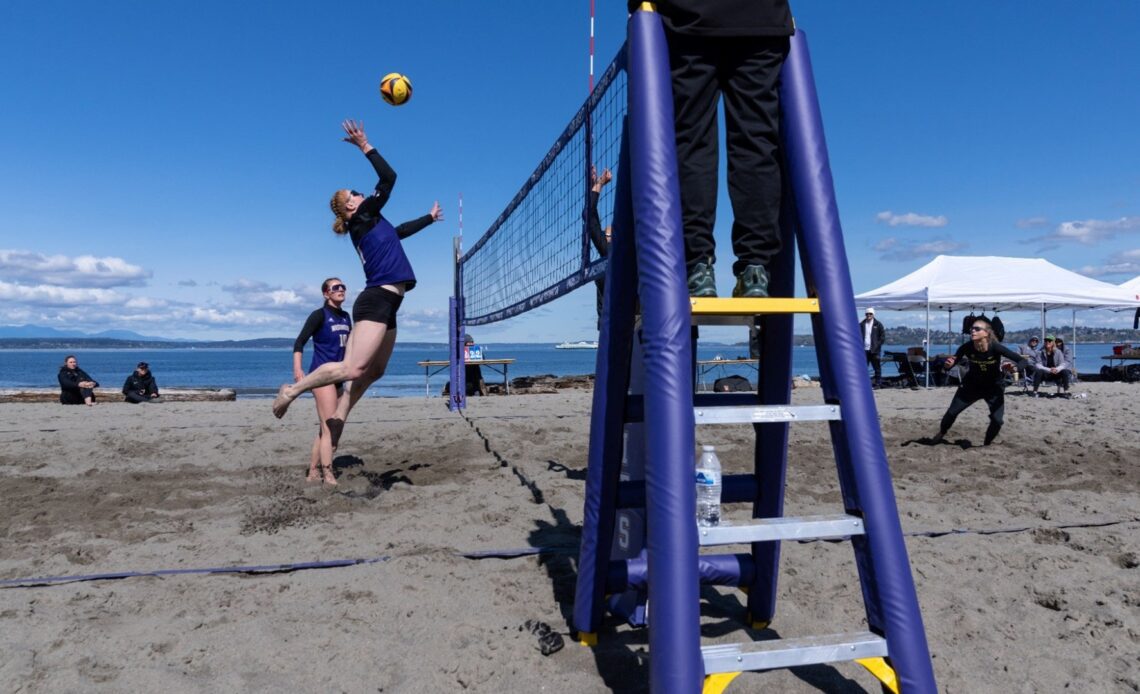 Beach Dawgs Start First Fall At Alki This Weekend