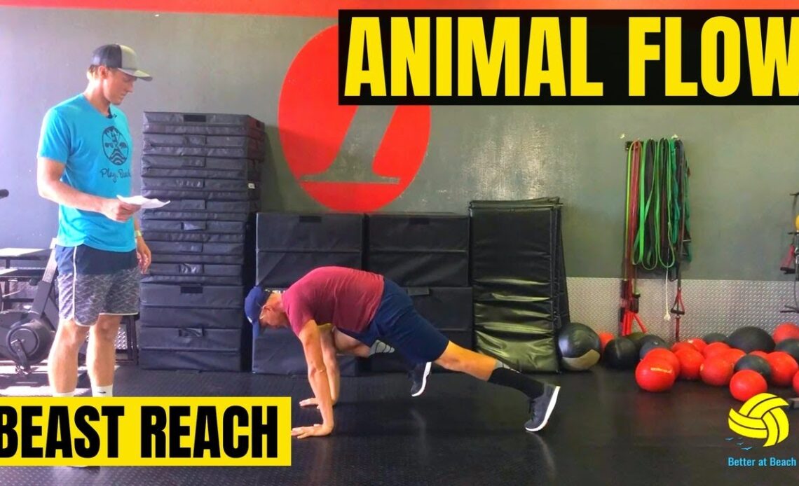 Beach Volleyball Exercises | Animal Flow | Beast Reach