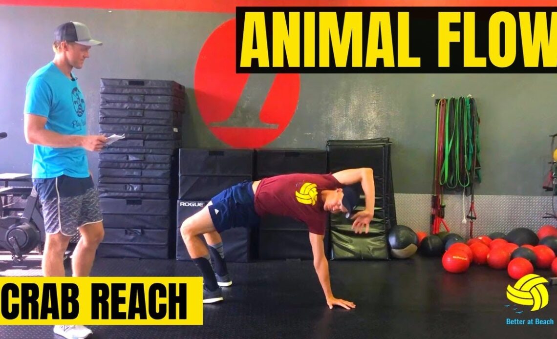 Beach Volleyball Exercises | Animal Flow | Crab Reach
