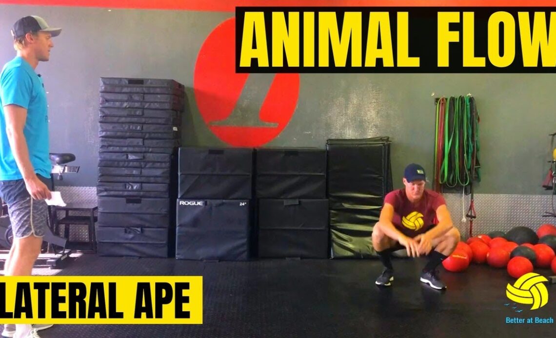 Beach Volleyball Exercises | Animal Flow | Lateral Ape