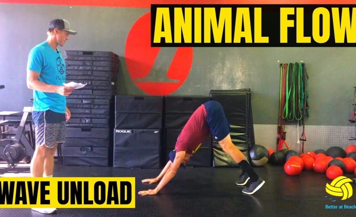 Beach Volleyball Exercises | Animal Flow | Wave Unload