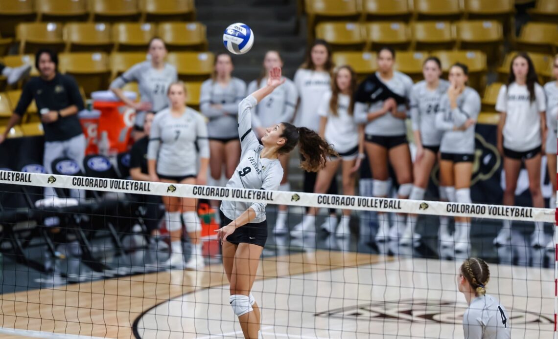 Buffaloes Head To Oregon - University of Colorado Athletics