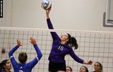 Women's Volleyball Downed by Adelphi During NE10 Play