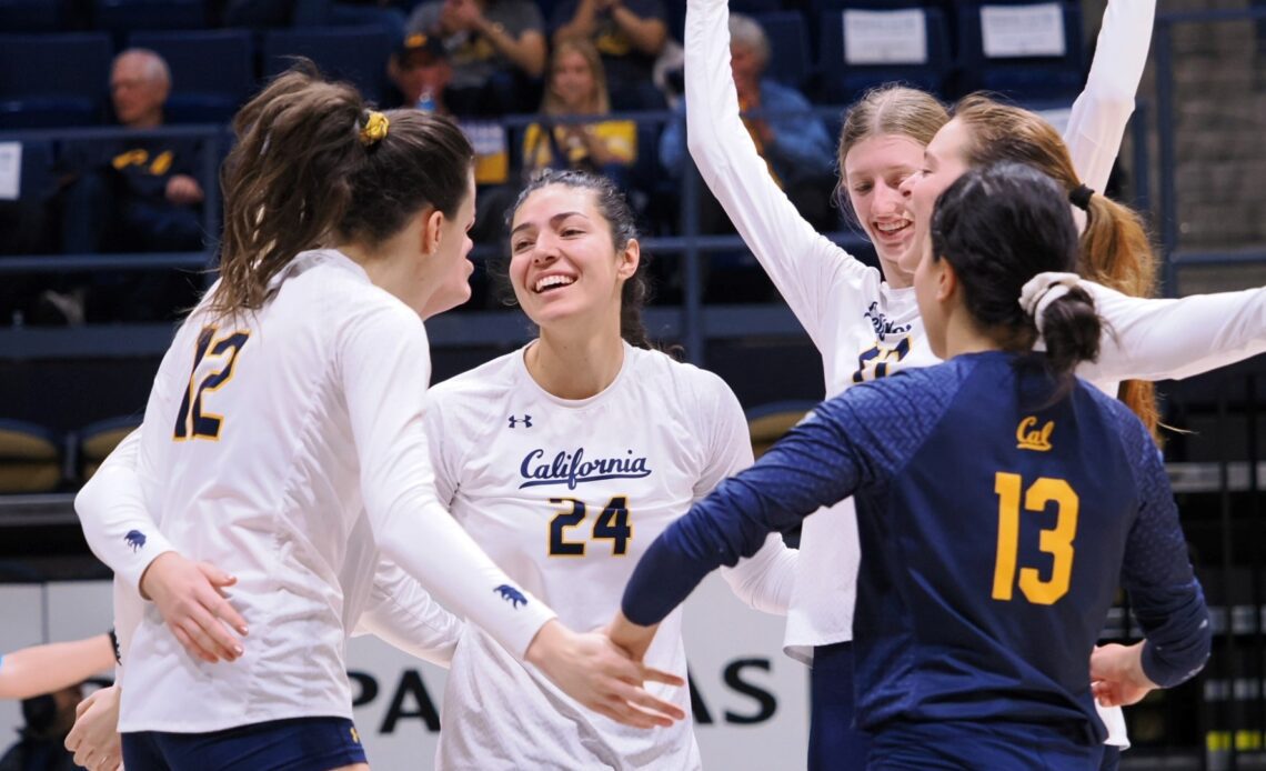 Bears Conclude Season Against Stanford