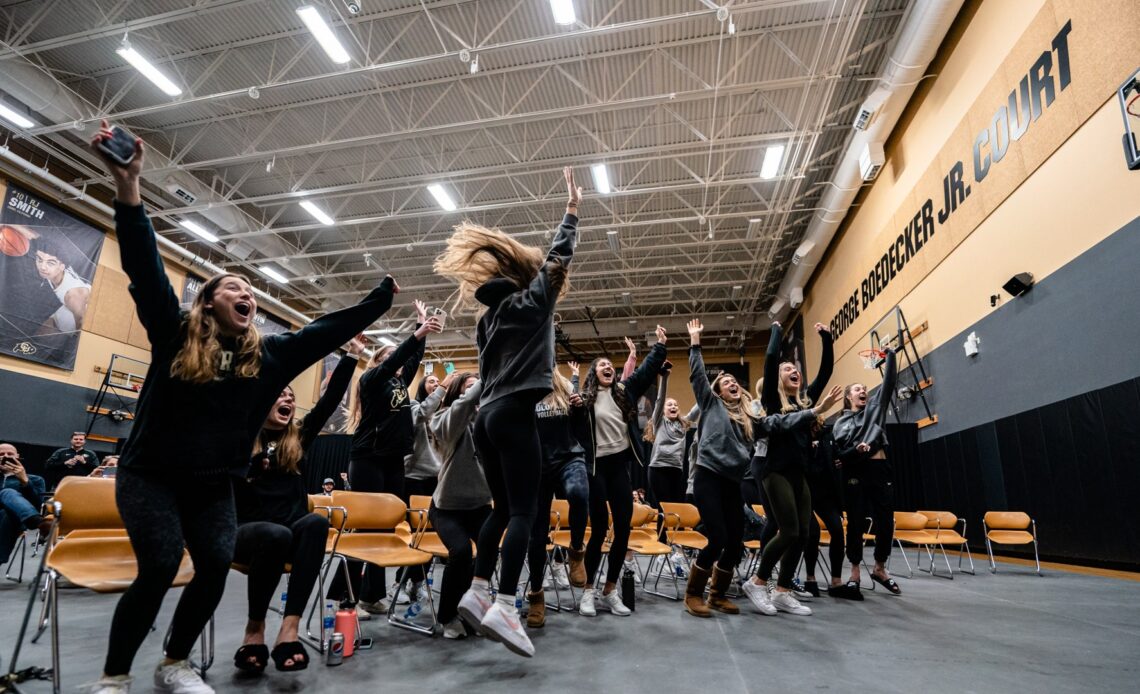Volleyball Punches Ticket TO NCAA Tournament