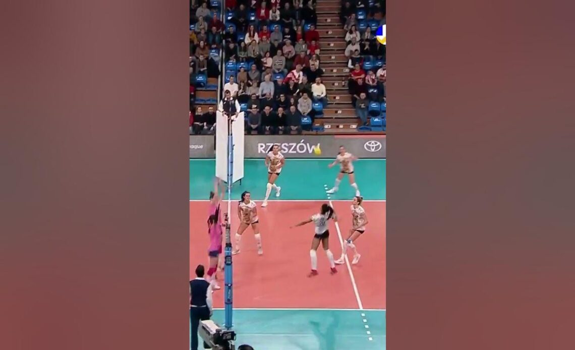 Did you see this? ¦ #Shorts #CLVolleyW