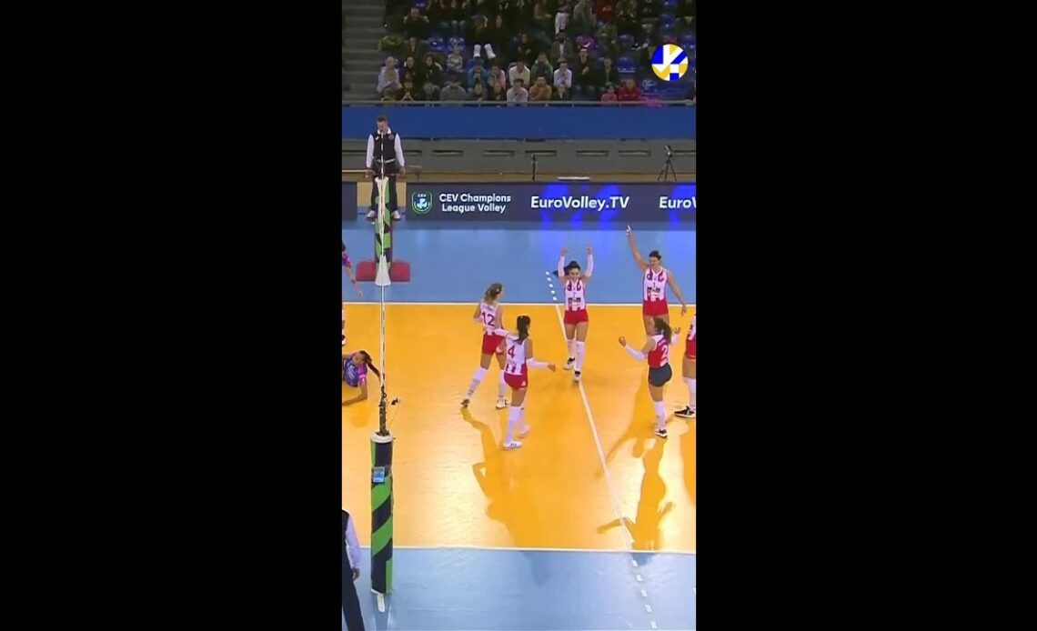 #Shorts ¦ Amazing! #CLVolleyW #EuropeanVolleyball #Volleyball