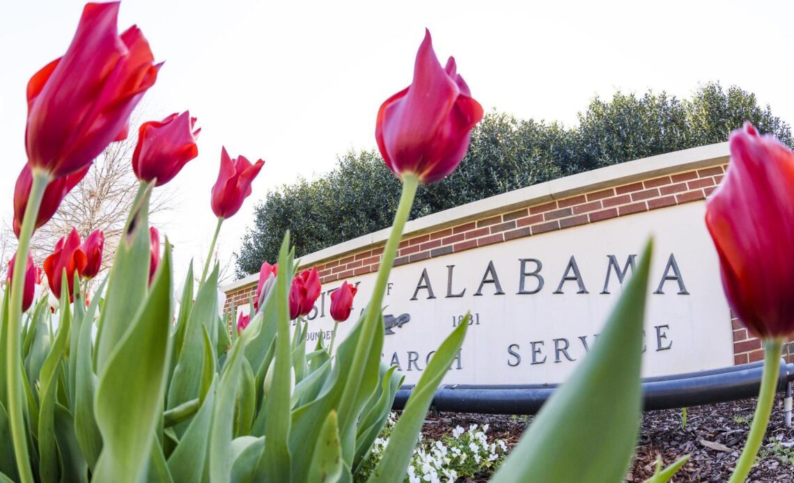 85 Alabama Student-Athletes Earn SEC Fall Academic Honor Roll Accolades