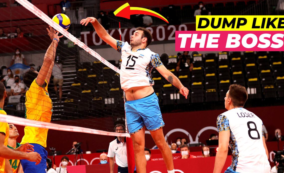 How to Setter Dump? Unique Guide for Setters to Surprise Everybody