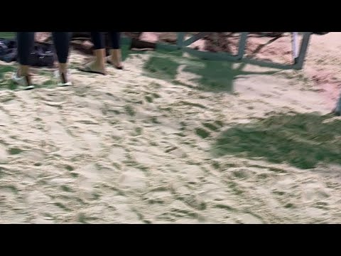 AVP New Orleans: Bourne / Schalk vs Lotman / Tucker