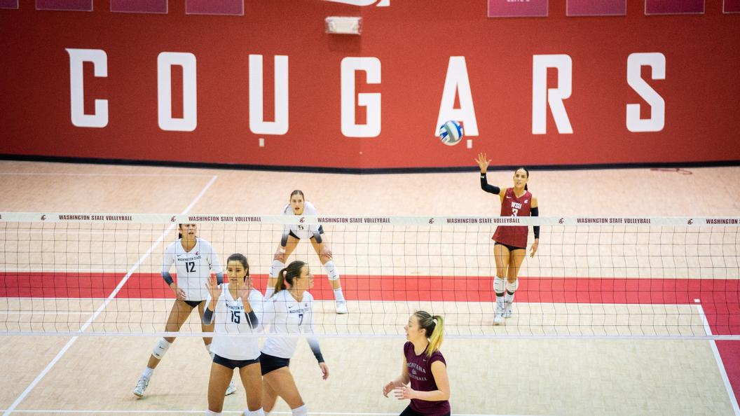 WSU volleyball scrimmaged Montana on Sunday, April 2, 2023 inside Bohler Gym.