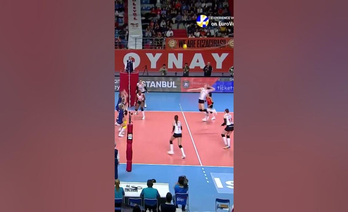 Ruthless Tijana Boskovic #europeanvolleyball #volleyball #clvolleyw