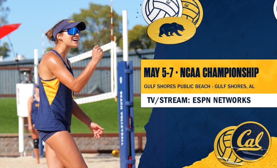 Eighth-Seeded Bears Set For NCAA Championship