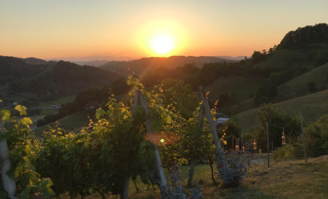 Cardinal Abroad - Stanford University Athletics