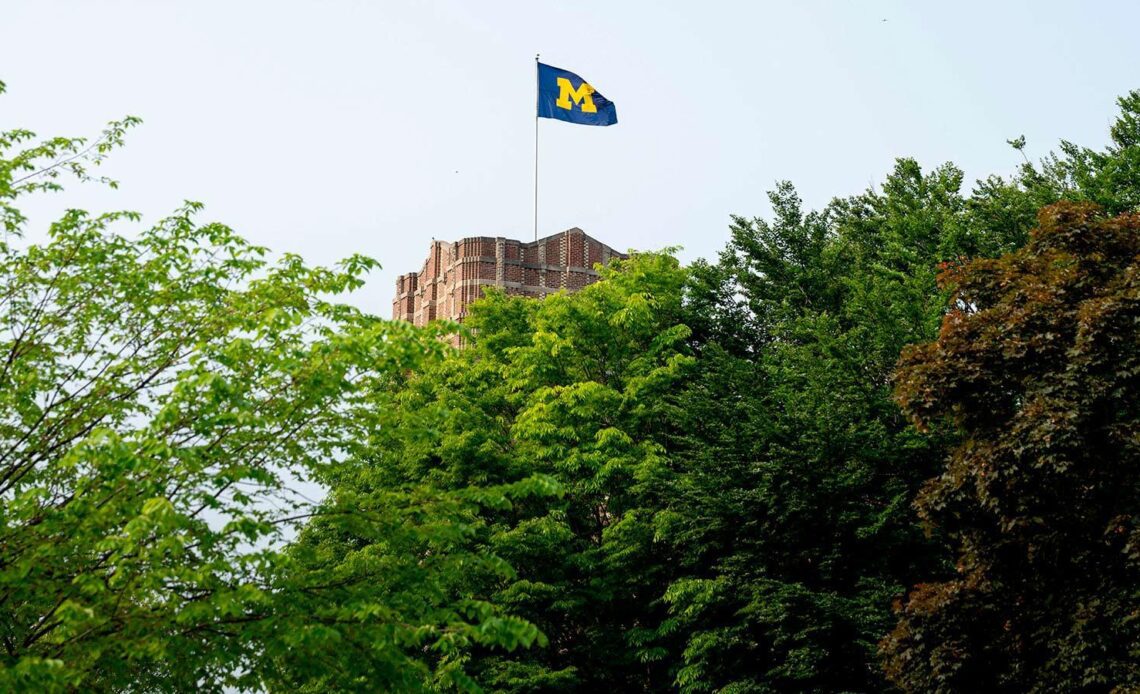 Record Number of Wolverines Named Big Ten Distinguished Scholars