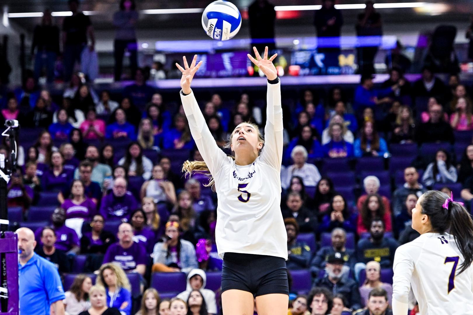 ‘Cats Earn AVCA Team Academic Award - VCP Volleyball