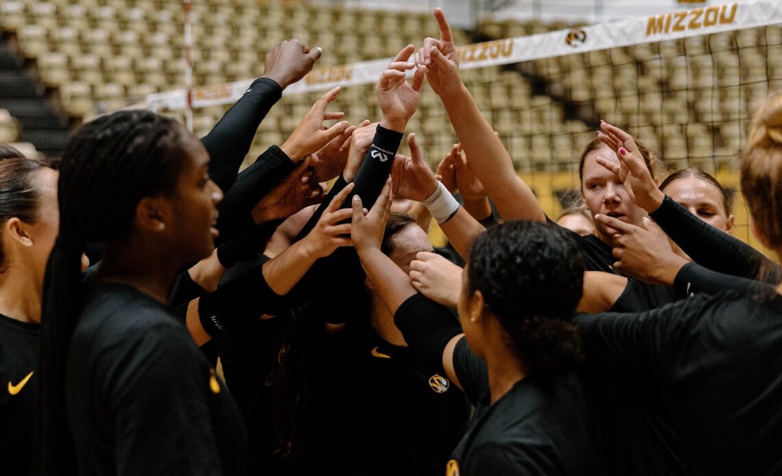 Black & Gold Volleyball Scrimmage Set for Saturday