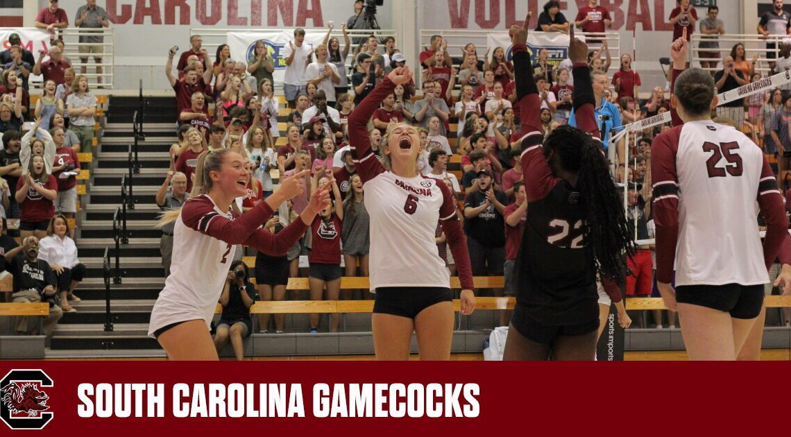 Gamecocks Bounce Back to Claim Saturday Rematch With Towson – University of South Carolina Athletics