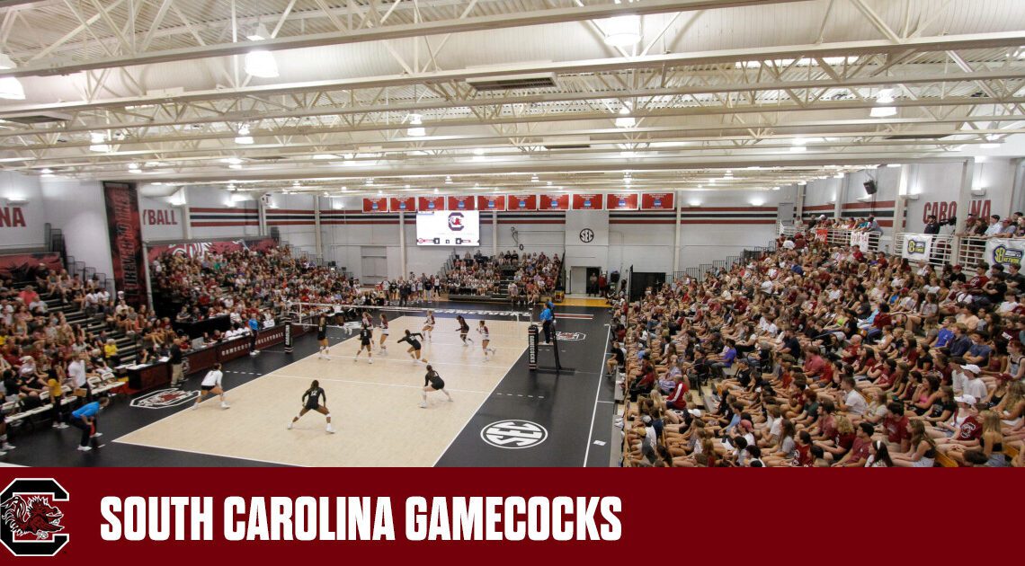 Volleyball Drops Friday Opener to Towson – University of South Carolina Athletics