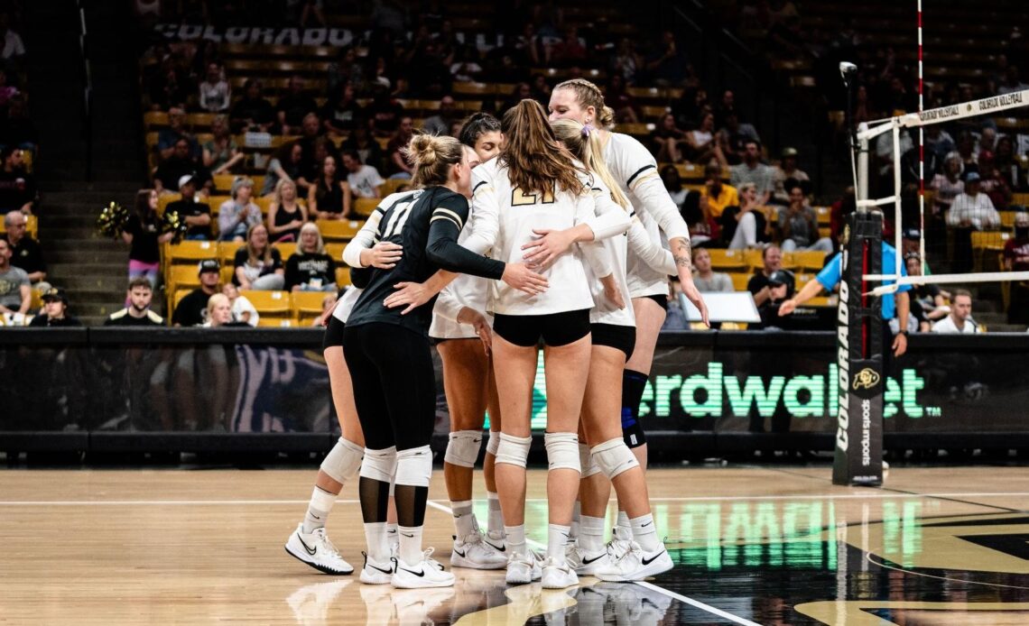 Buffs Fall to No.4 Stanford