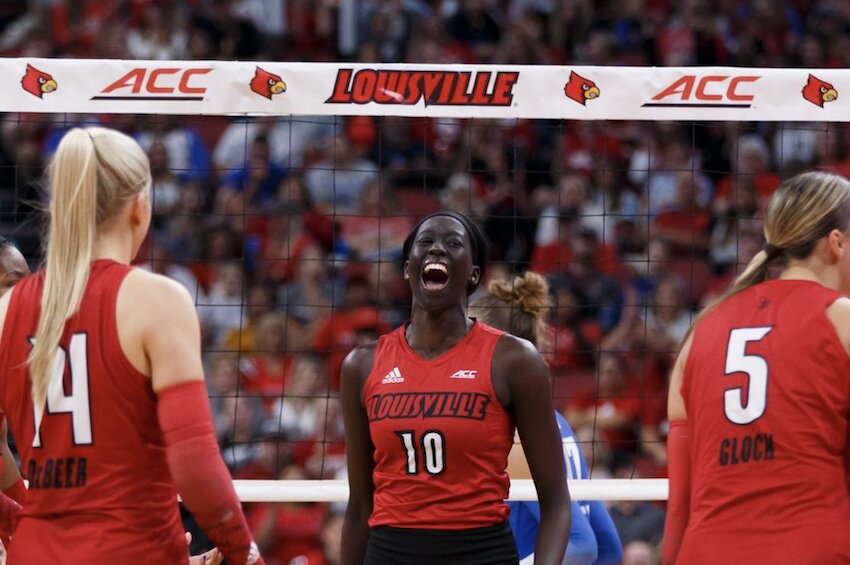 Louisville vs. Stanford volleyball: Preview, how to watch