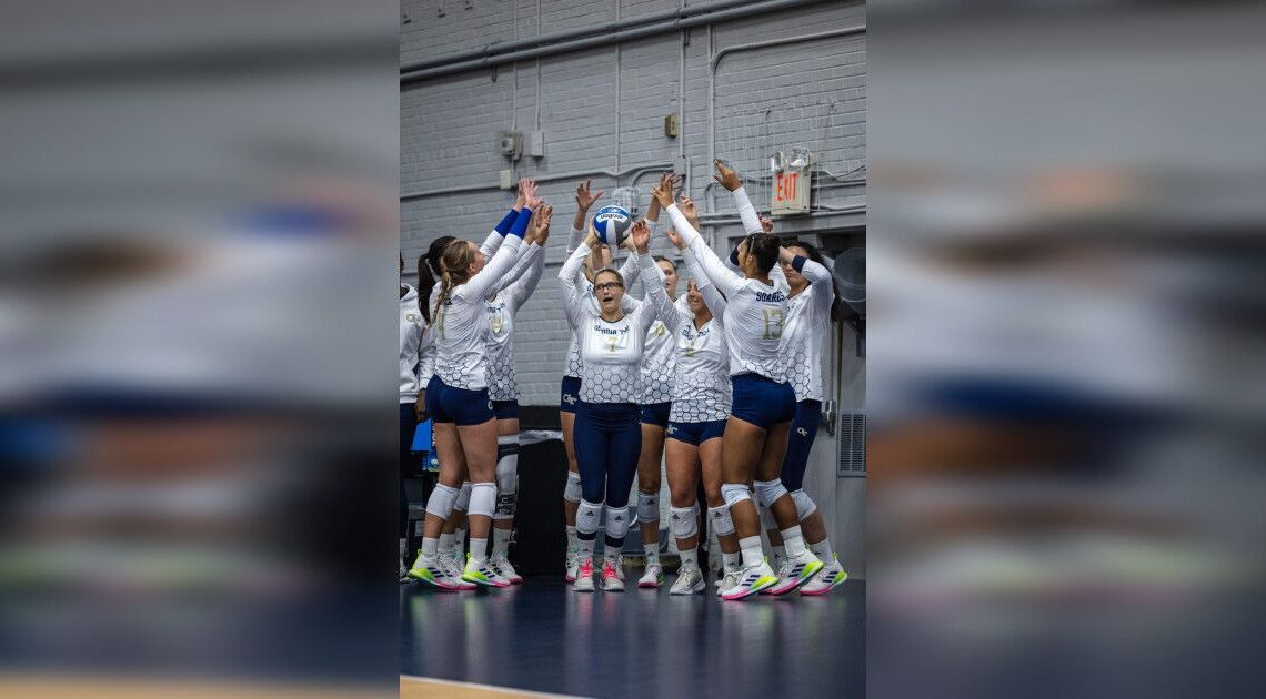 VIDEO: Volleyball San Diego Highlights