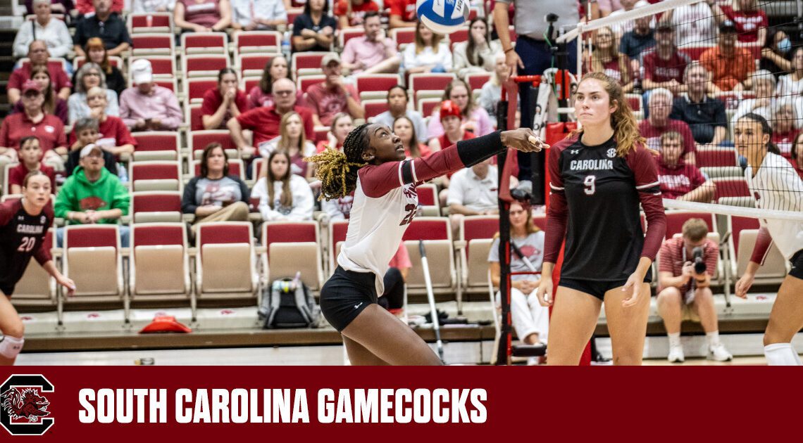 Volleyball Drops SEC Opener at Arkansas – University of South Carolina Athletics