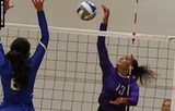 Women's Volleyball Rallies Past Georgian Court, 3-2, on Final Day in New Hampshire