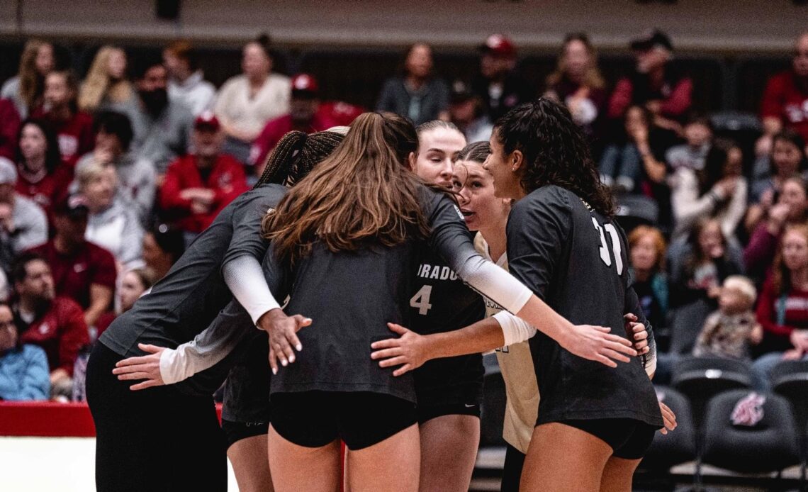 Buffs Fall In Three To No. 4 WSU