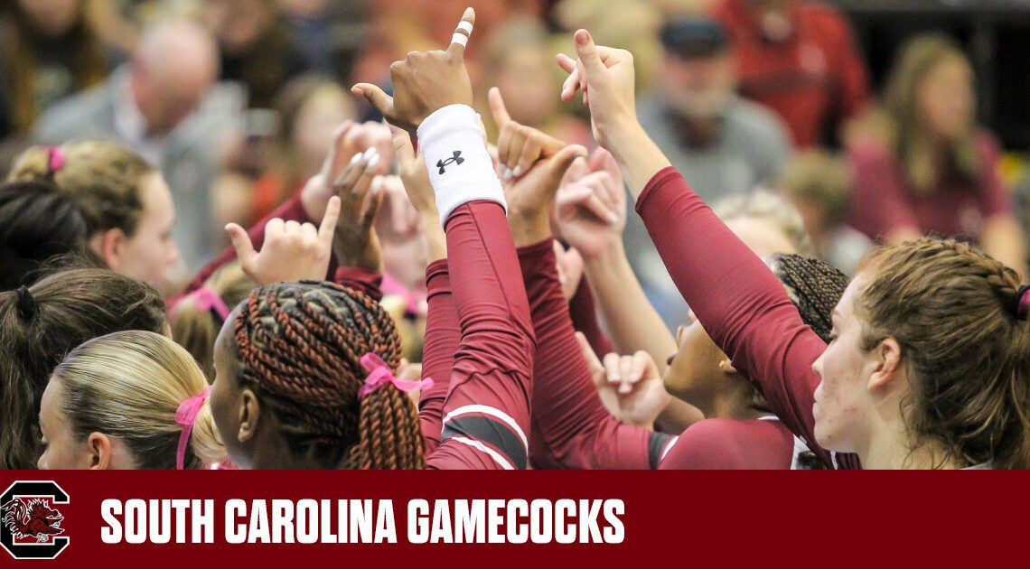 Gamecocks Welcome Alabama for Wednesday Night Match – University of South Carolina Athletics