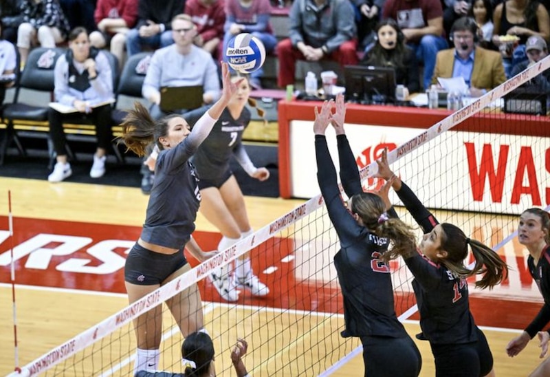 Stanford defeated Washington State on Oct. 28, 2022.