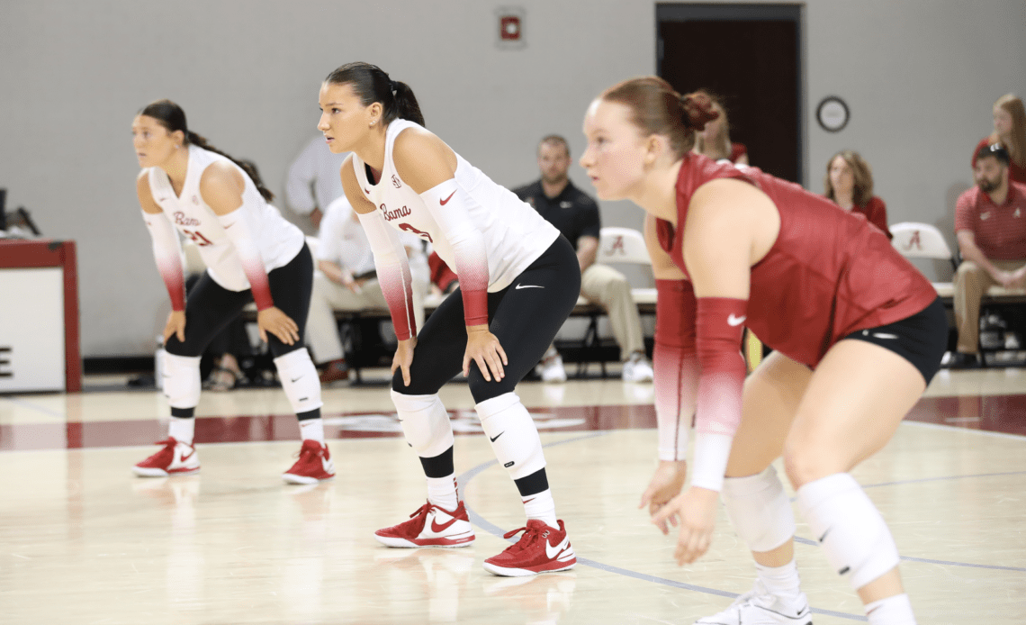 Volleyball Falls in Three Sets to LSU Sunday