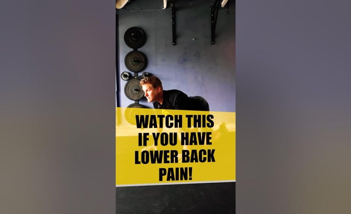 Watch This if You Have Lower Back Pain #mobility